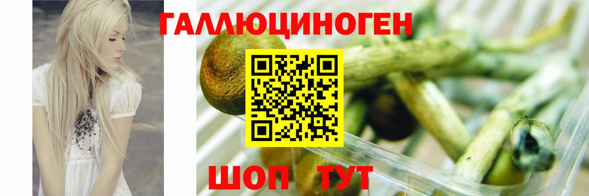 Нефтеюганск  Псилоцибиновые грибы Psilocybine cubensis  Вход с VPN 